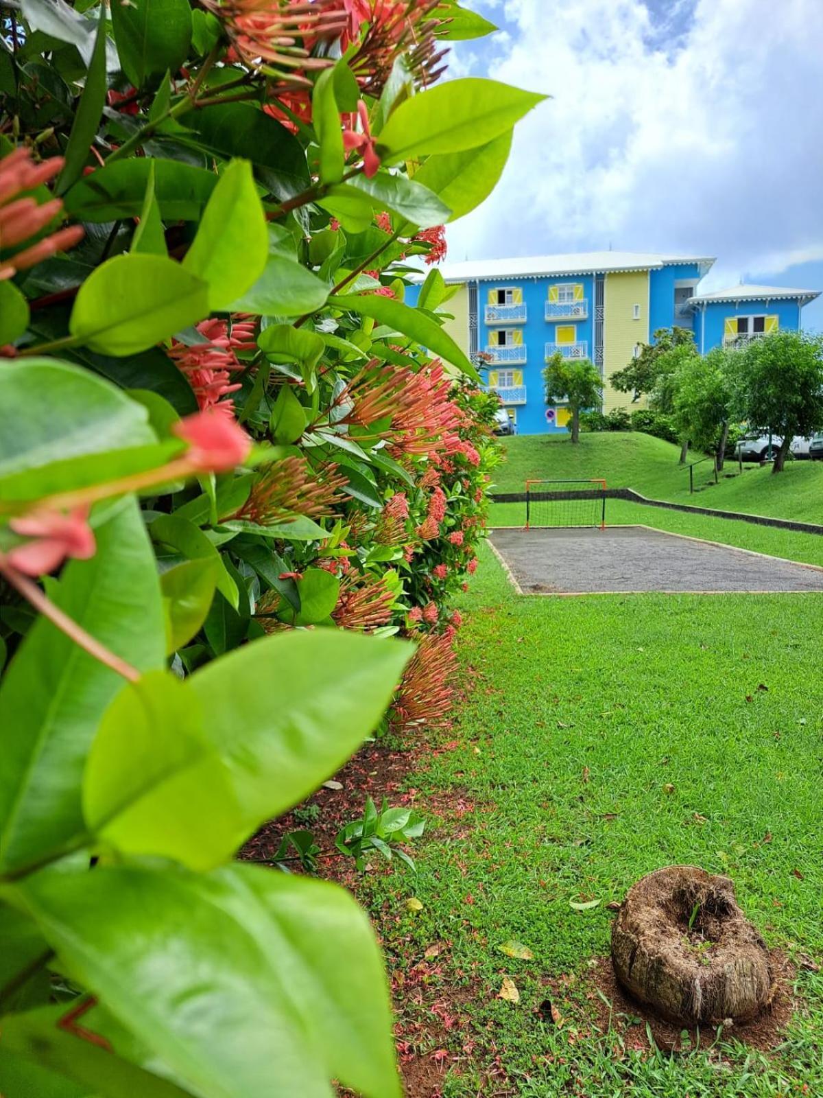 Ste Luce, N° 11 Appart -300M Plage De Mabouyas Corps de Garde Exterior photo